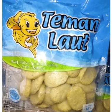 teman laut scallop/scallop teman laut