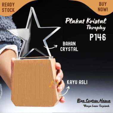 P146 Plakat kristal dengan kayu 22cm Trophy Crystal kaca Piala kejuaraan Bintang