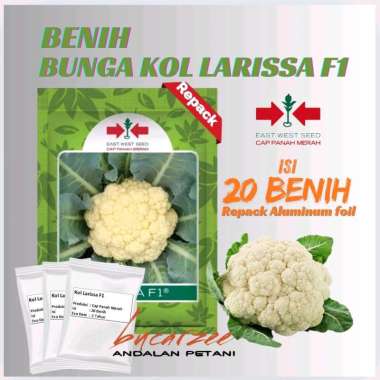 Benih Bunga KOL LARISSA F1. Isi 20 Benih Cap Panah Merah Repack