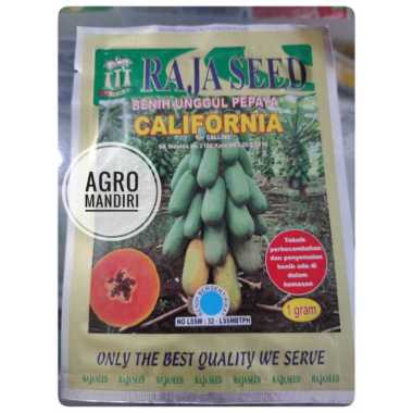 Bibit Pepaya California Isi 60 Benih Cap Raja Seed