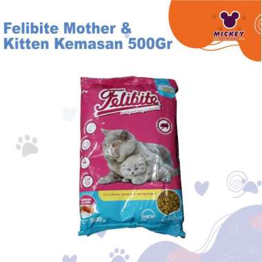 Felibite Mother and Kitten 500 gram Salmon Ikan