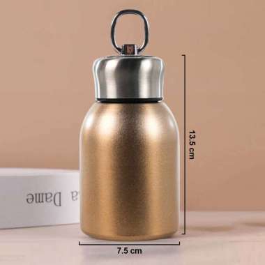 Botol Minum SKY Tumbler Stainless Vacuum Tahan Panas Dingin Lama Termos Air 280ml Rosegold