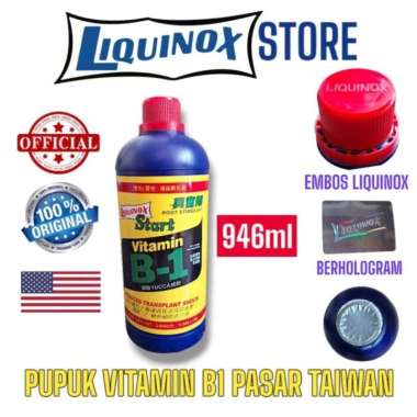 Liquinox Start Vitamin B1 Taiwan 946ml Pupuk Tanaman Transplant ASLI