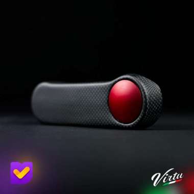 Virtu Cover Fork / Garpu Carbon Kevlar Vespa Sprint Primavera Carbon Doff