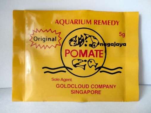 pomate singapore pomate original anti jamur white spot
