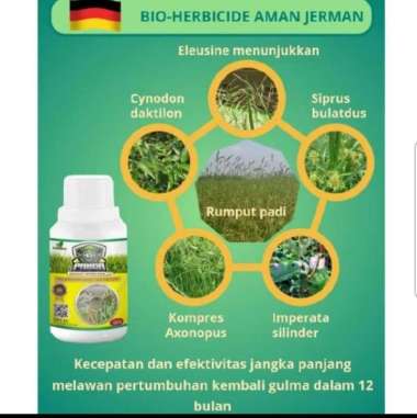 Herbisida biologis Kill grass Panda Hilangkan Gulma buy 1 get 1