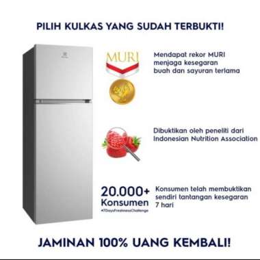 KULKAS ELECTROLUX ETB3700K
