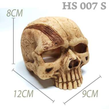 HS002 HIDING SKULL TYRANNOSAURUS T-REX TENGKORAK DINOSAURUS TEMPAT SEMBUNYI TARANTULA P METALLICA PA