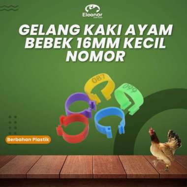 Gelang Kaki Ayam Bebek 16mm Kecil Bernomor Ring Clip Cincin Kaki Kuning