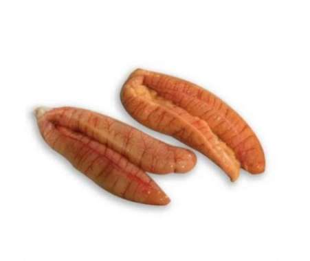 Telur ikan tuna segar 1kg