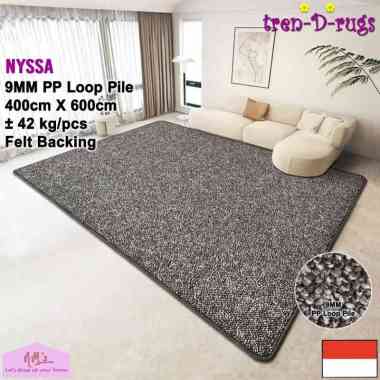 Tren-D-rugs Karpet kotak persegi jumbo permadani estetik polos bulu alas 400 cm x 600 cm modern lant