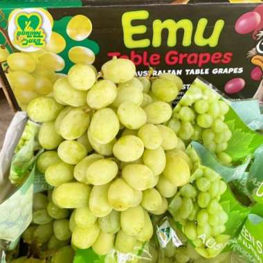 Anggur Hijau Australia Manis Tanpa Biji 1KG