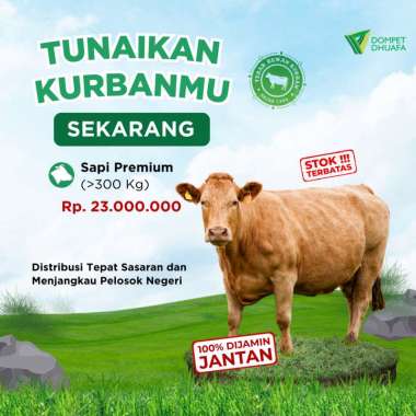 KURBAN SAPI PREMIUM - DOMPET DHUAFA