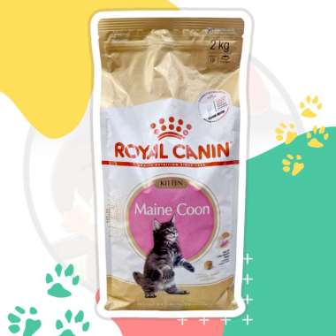 Royal Canin Kitten Maincoon 2kg - Makanan Kucing Dry Food Premium Untuk Kucing Ras Maine Coon