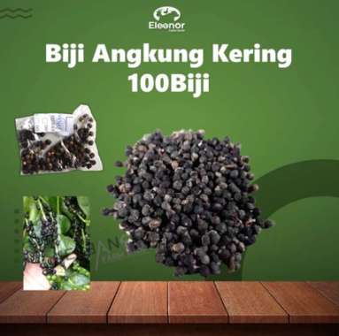 Benih Angkung Kering Biji Angkung 100 Biji