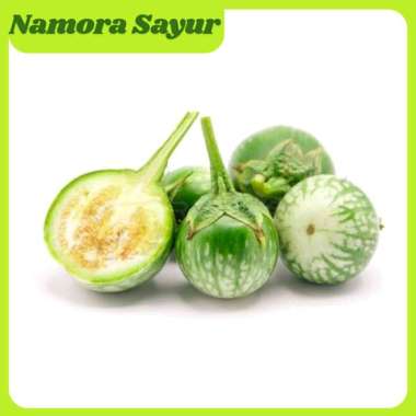 Terong Bulat Untuk Lalap 1 Kg