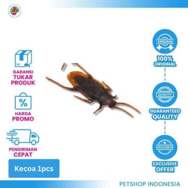 Mainan Karet Serangga untuk Kucing - Kecoak Kelabang Kalajengking Kecoa 1pcs