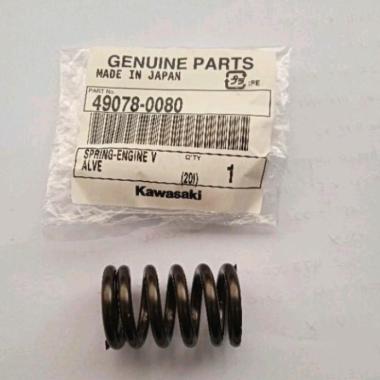 Per Klep Japan Jepang IN KX 250 ORIGINAL KAWASAKI KLX CRF Herex Tiger