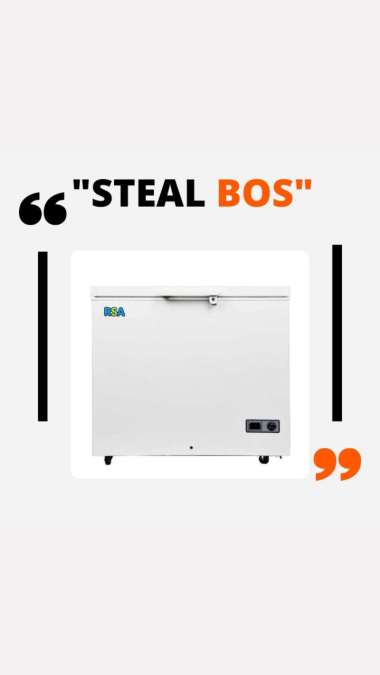 RSA chest freezer rsa 310 310liter freezer box rsa 310 chest freezer