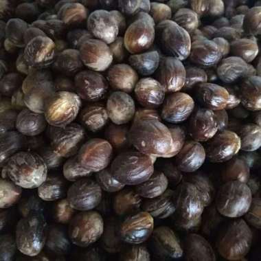 Biji Pala Buah Pala Utuh Butir 100g /Pala Cangkang/Pala Kilat