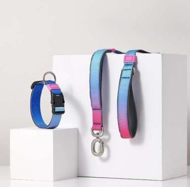 PETKIT Dog Leash medium