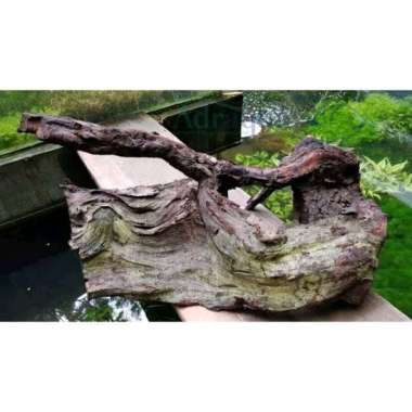 KAYU BAKAU 1KG 1 KG HIASAN AQUARIUM AQUASCAPE BESAR 50-60 CM