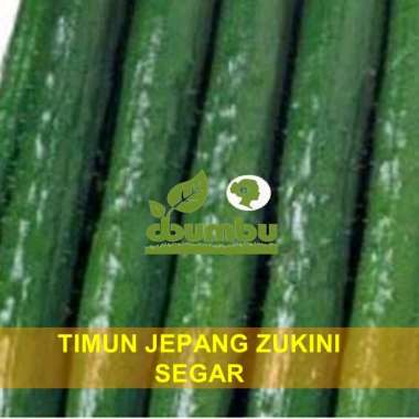 Timun Jepang Jukini SegarZukini Zucchini