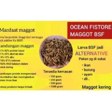 maggot BSF kering 100 gram