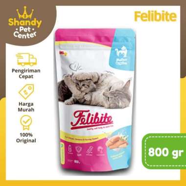FELIBITE MOTHER & KITTEN 800 GR
