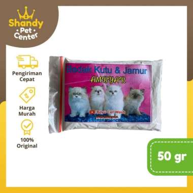 BEDAK KUTU KUCING AMBYAR