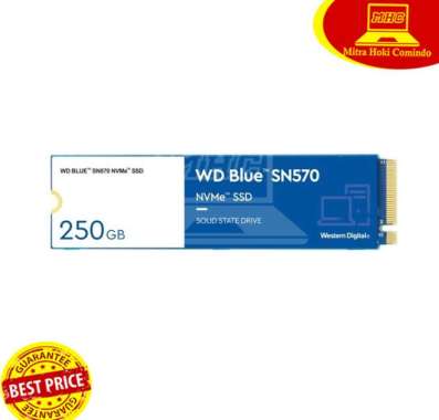 SSD WD BLUE SN570 250GB SSD NVME WD BLUE 250GB M.2 NVME