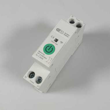 Programmable Timer Switch Relay Wireless WiFi 300V/63A