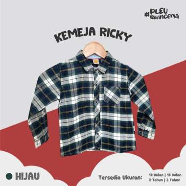PLEU Kemeja Ricky | Kemeja Anak Laki Laki Usia 1-3 Tahun 2 tahun Hijau