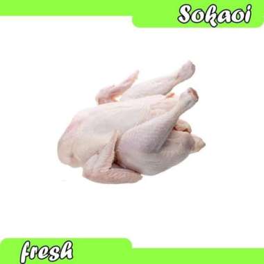 ayam potong 1kg