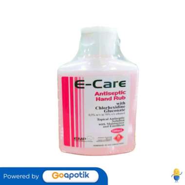 E-CARE ANTISEPTIC HAND RUB 100 ML