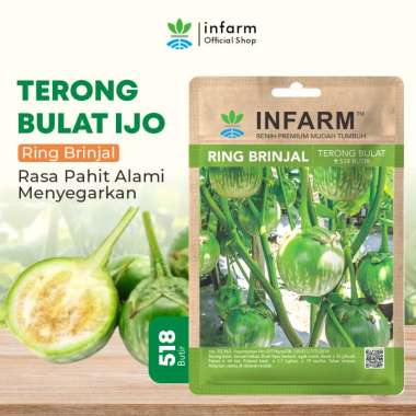 Bibit Terong Lalap Ring Brinjal Benih Terong Biji Terong Bibit Terong Bulat