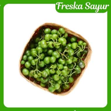 Leunca/ Lenca 1 Pack