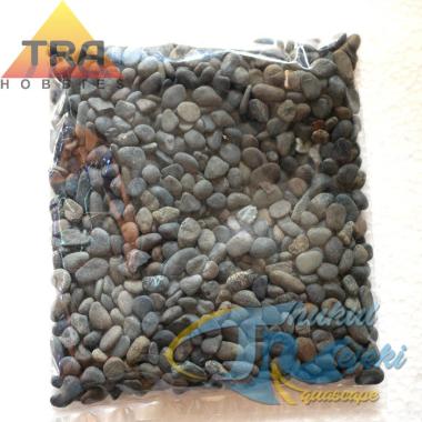 TRA Batu Alor koral Hitam Batu Alam Aquascape