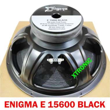 Speaker Enigma 15" inch E 15600 Black E15600 E15600Black Multicolor