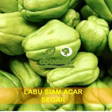 Labu Siam Acar Kecil Segar