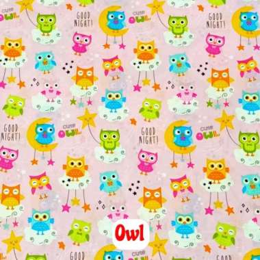 Kasur Ayunan Kain dan Rotan dilengkapi Bantal Bayi Bahan Dacron Empuk Halus Motif Karakter Lucu kasu