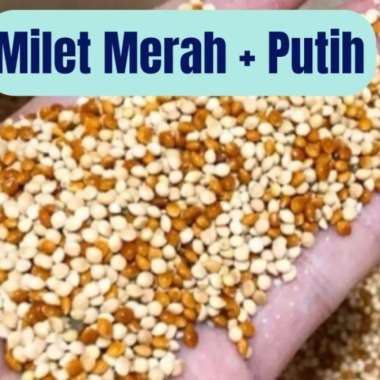 Milet Campur millet merah dan Putih 1kg pakan Burung Lovebird parkit