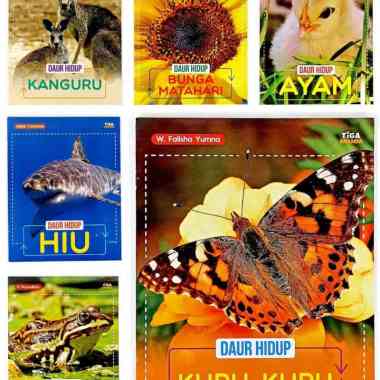 SET Seri DAUR HIDUP : AYAM , BUNGA MATAHARI , HIU , KANGURU , KATAK , KUPU-KUPU
