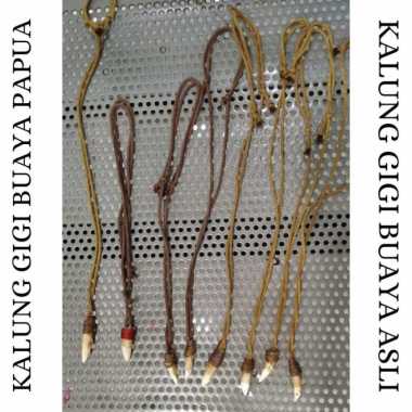 KALUNG GIGI BUAYA PAPUA ASLI