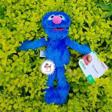 Sesame Street Grover Plush Doll 25cm