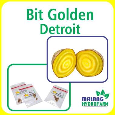 Bit Golden Detroit Unggulan Berkualitas biji buah beet root beetroot ubi bibit repack hydroponik hid