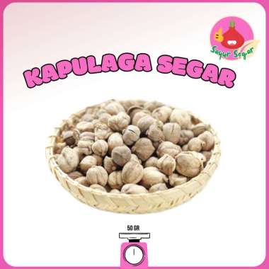 Sayur Segar - Kapulaga 50gr / Rempah Kapulaga / Biji Kapulaga