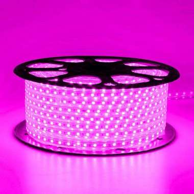 Lampu LED Strip Selang 100 Meter Full LED 2835 IP65 220V Hiasan Dekorasi Pohon Indoor Outdoor Plafon