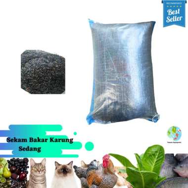 Sekam Bakar Dan Sekam Mentah Media Tanam Karung Sedang Sekam Bakar