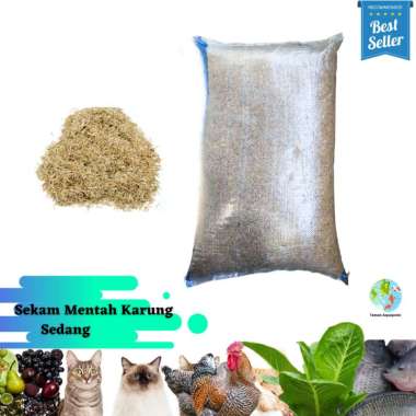 Sekam Bakar Dan Sekam Mentah Media Tanam Karung Sedang Sekam Mentah